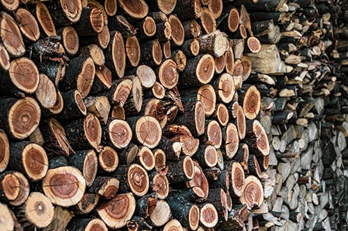 Cherry-Tree-Logs - Fred Stevens Firewood Cherry Wood Log pile